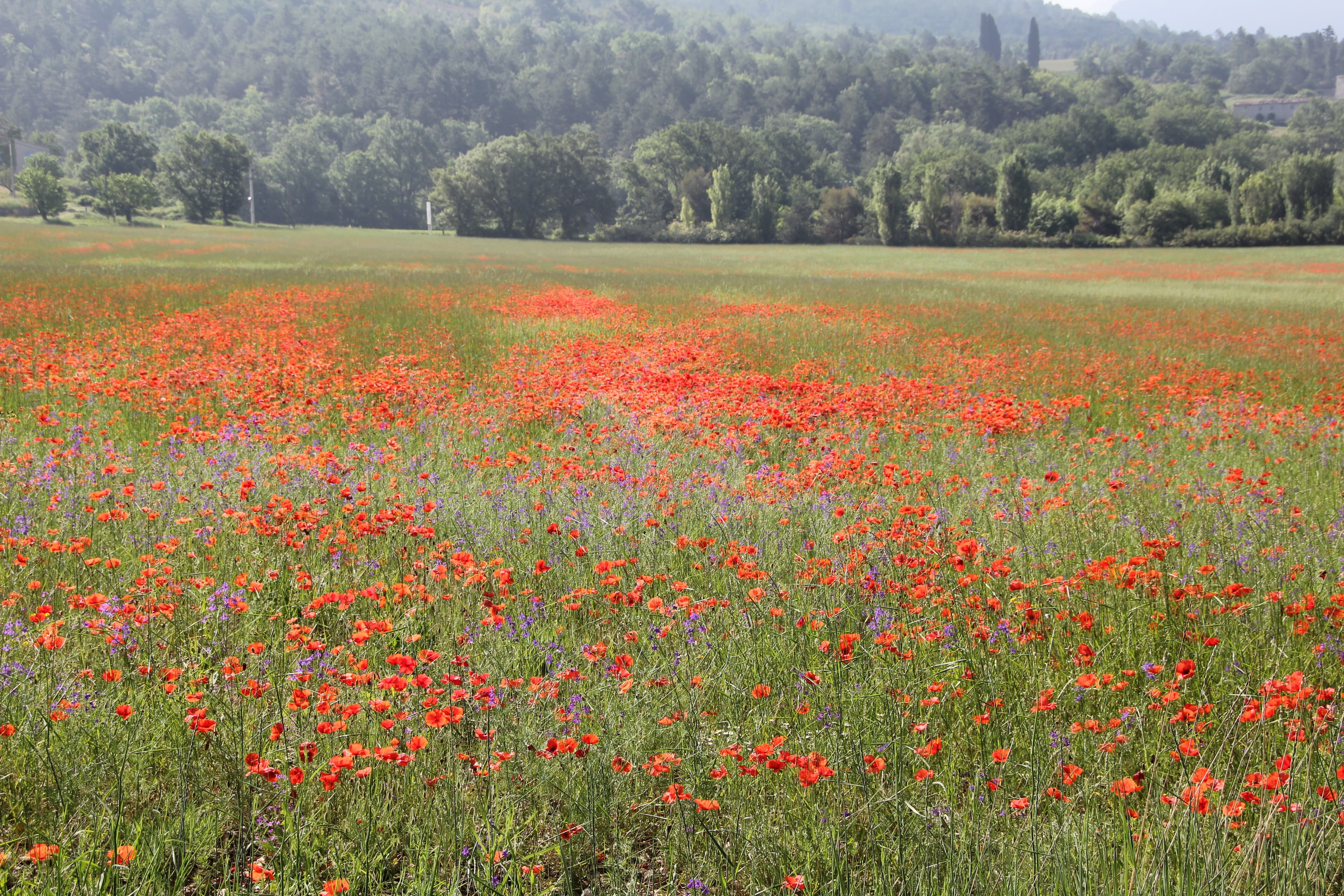 Viaggio in bicicletta